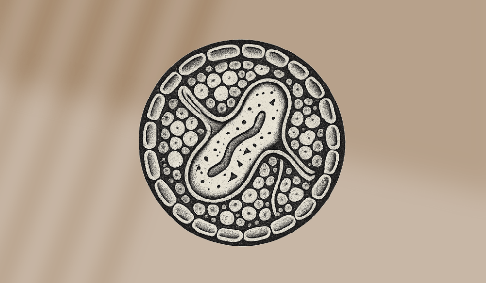 Read more about the article Microscopic View Tattoo Stil – Die verborgene Welt unter der Haut